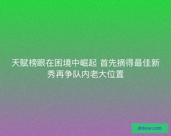 天赋榜眼在困境中崛起 首先摘得最佳新秀再争队内老大位置