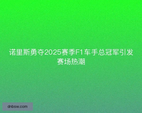 诺里斯勇夺2025赛季F1车手总冠军引发赛场热潮